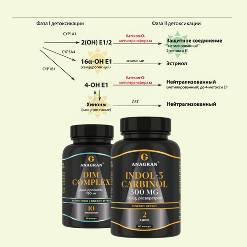 [Клуб ХИВ] Ирина Хисамова → Индол-3-Карбинол и ДИМ_0.png